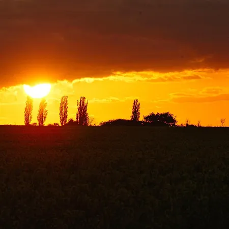 Apartment Wusse Hiddensee *