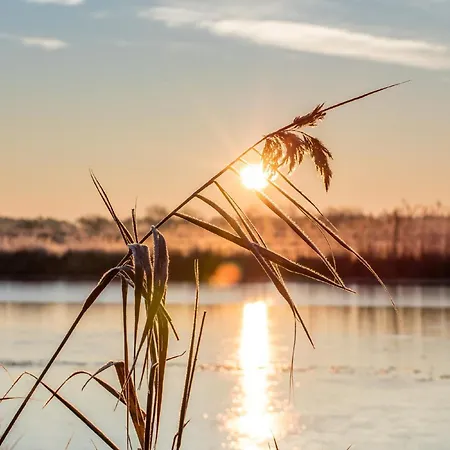 Wusse Hiddensee Apartment *