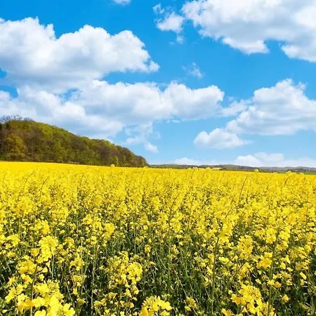 Wusse Hiddensee Apartment *