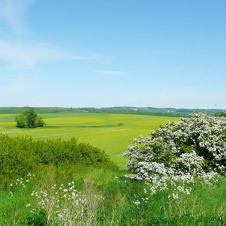 Wusse Hiddensee Ummanz