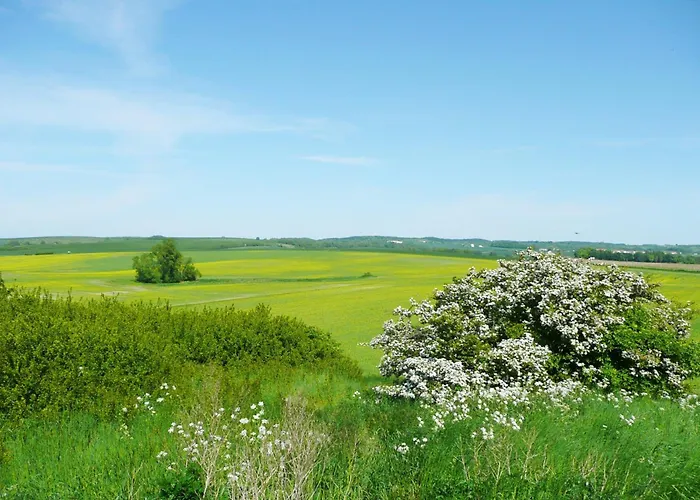 Wusse Hiddensee Ummanz